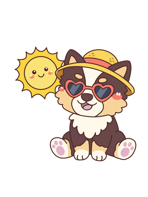 Sunglasses3